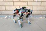 MicroDog - A Low-Cost Quadruped Robot